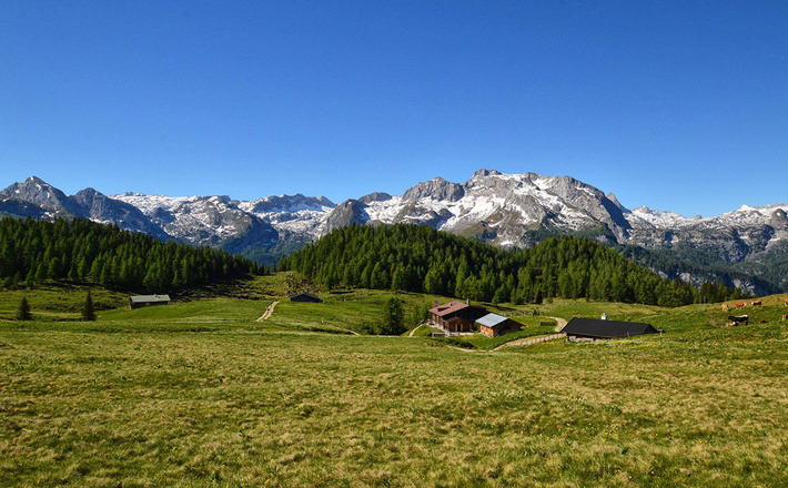 Blick über die Gotzenalm zum Funtenseetauern