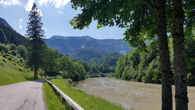 die Enns am Weg Richtung Großramming - Schneeschmeltze, daher die kaffeebraune Farbe