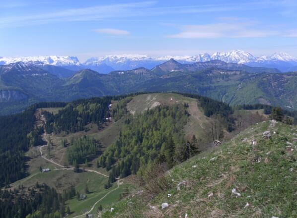 Loibersbacher Höhe vom Faistenauer Schafberg