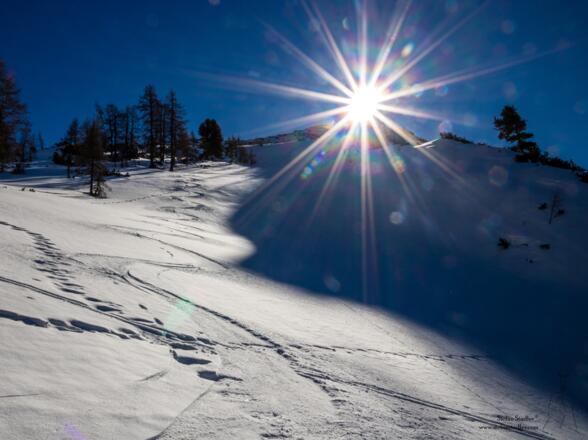 Die Sonne steht flach am schönen, nordwestlich ausgerichteten Gipfelhang.