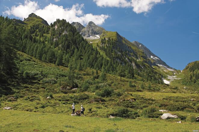 Obere Schwarzachalm