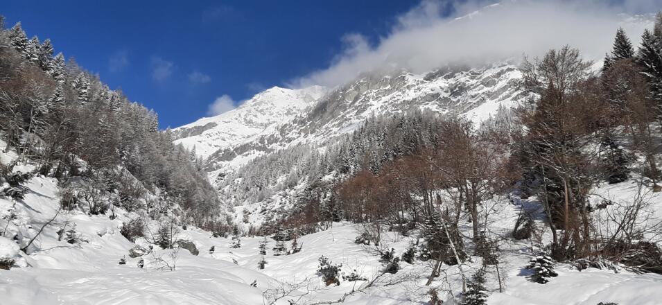 Zustieg durchs Kar im Hintergrund die Hochwand rechts die Südwand des Karkopf