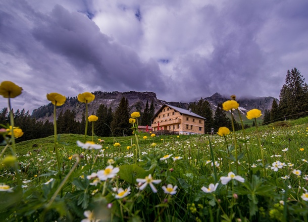 Berggasthaus Edelweiß