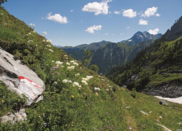 Brandberger Joch