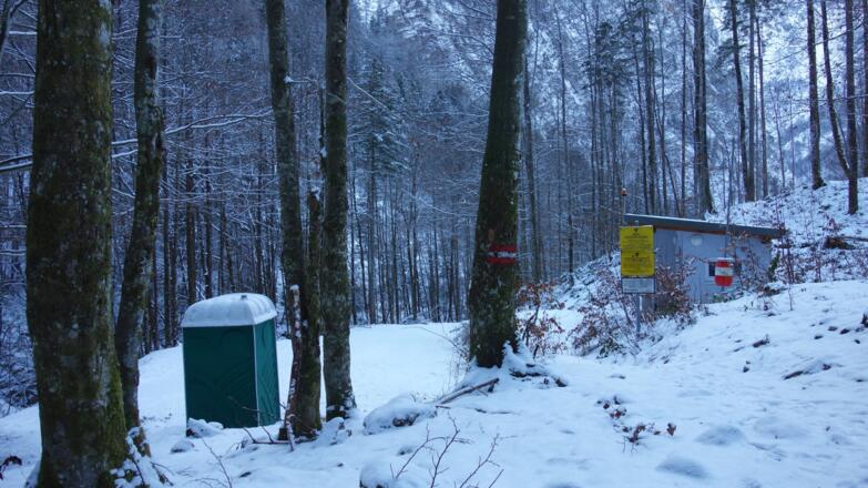 Forststraße wieder erreicht ~700m