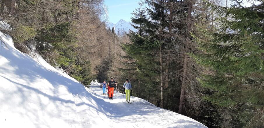 ... Kreuzung mit der Forststraße. Auf dieser eine Kehre weiter bis ...