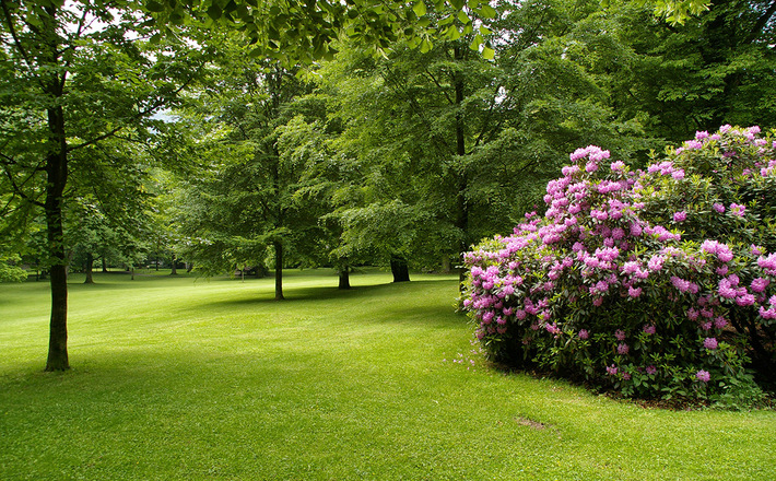 Bunte Blumen und grüne Bäume im Karlspark