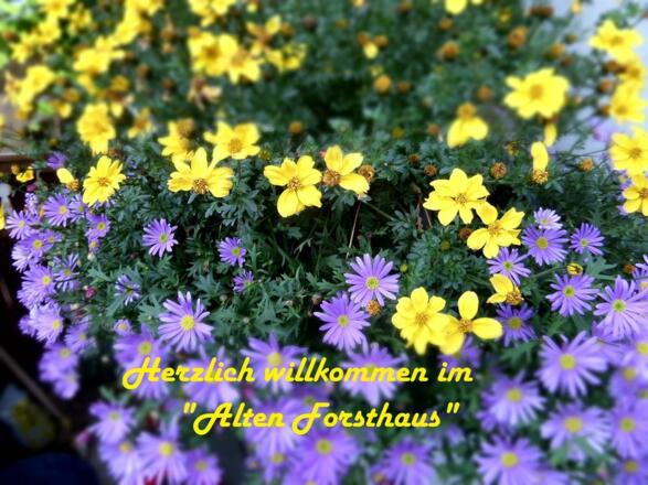 &quot;Altes Forsthaus&quot;