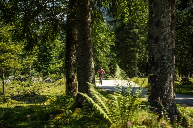 Durch den Nationalpark Berchtesgaden zum Hirschbichl