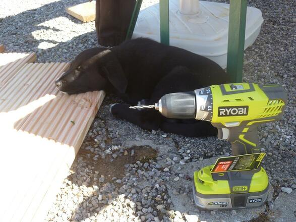 Puh ist das anstrengend