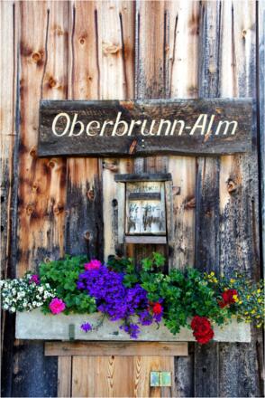 Oberbrunnalm