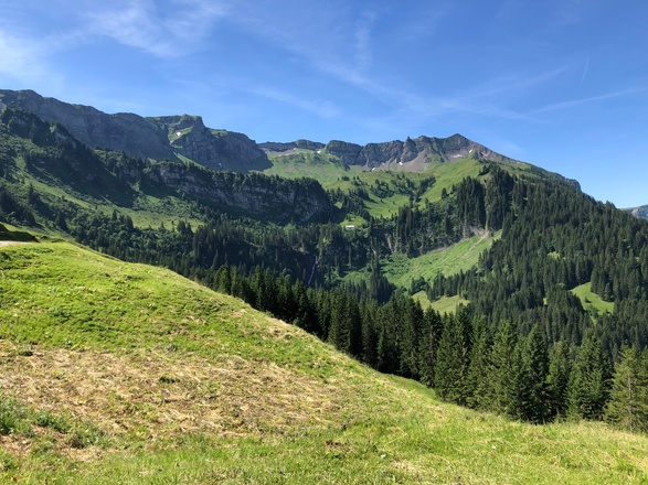 Kurz vor der Hintersuttisalpe mit Blick auf die Sünser Spitze