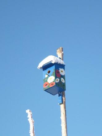 Vogelhäuschen in unserem Garten