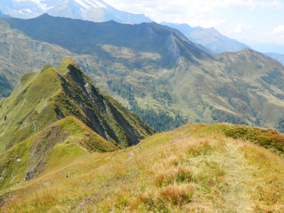 Blick zur Kendlhofalm