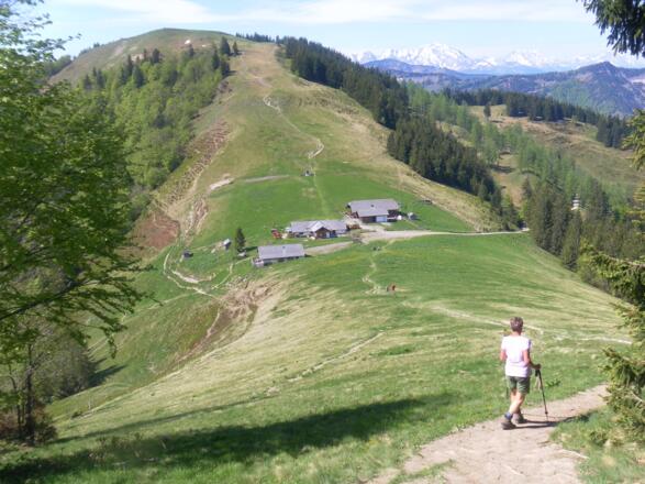 Oberwiesalmen vor Loibersbacher Höhe