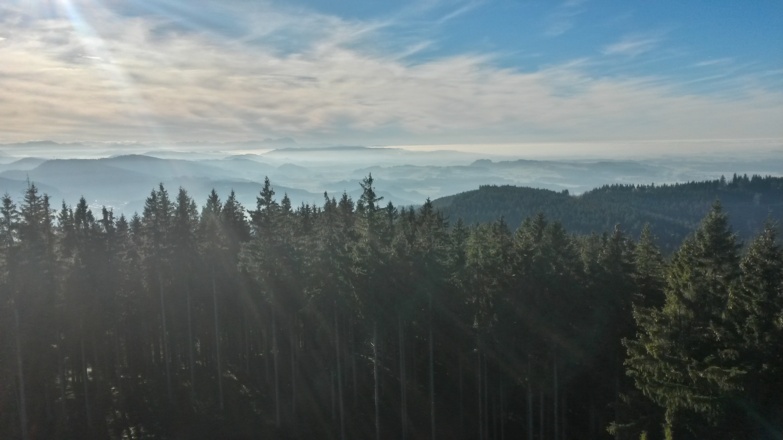 Blick von Schwarzen Grat Richtung Schweiz