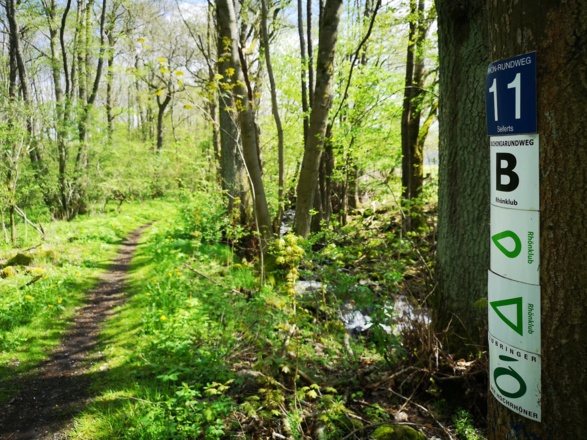Wanderweg durch den Birxgraben
