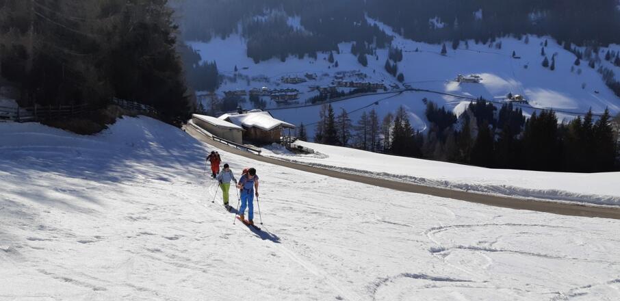 Start bei den Wiesen vor der Edelraute - nur ein kurzes Stück vom Parkplatz.