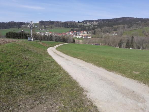 Bei der nächsten Kreuzung wieder auf einen Feldweg abzweigen