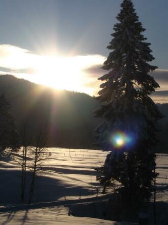 Winterimpressionen Ausblick v. Ferienwohnungen