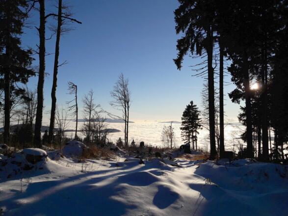 Aussicht von der Höhenloipe