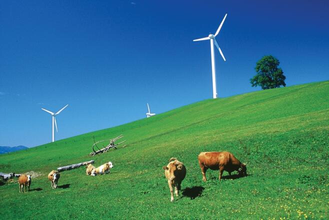 Windpark Laussa