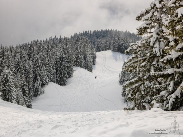 Die Abfahrt erfolgt auf der Piste.