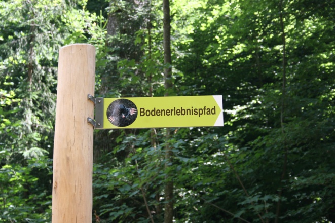 Der Maulwurf weist Ihnen den Weg auf dem Bodenerlebnispfad Roggenburg