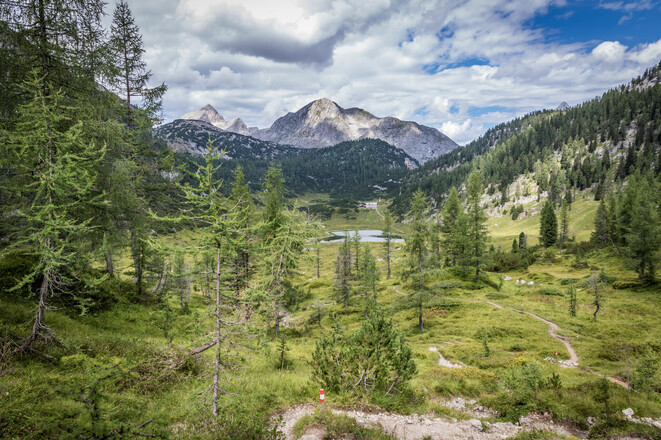 Letzte Meter zum Funtensee