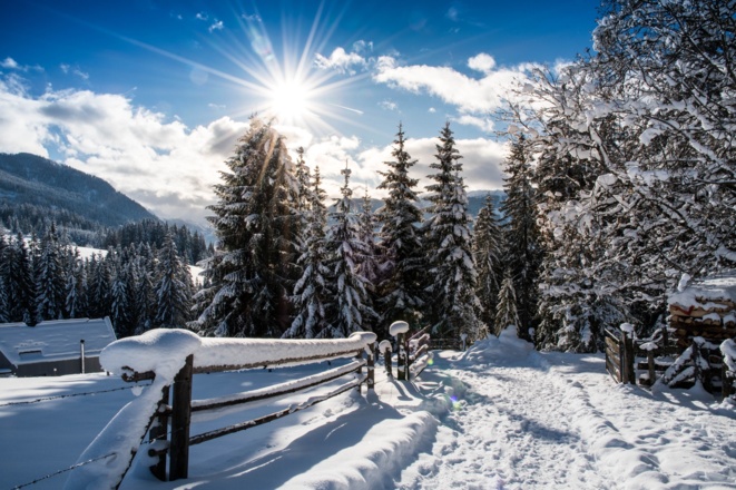 verschneiter Winterwanderweg