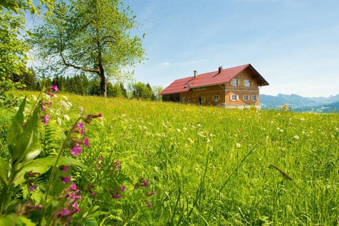 Traumhafte Alleinlage mit Aussicht