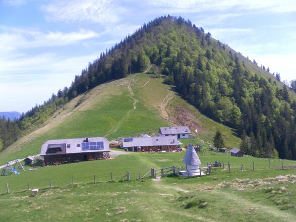 Oberwiesalmen vor Faistenauer Schafberg
