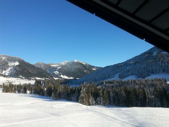 Blick aus der Ferienwohnung A