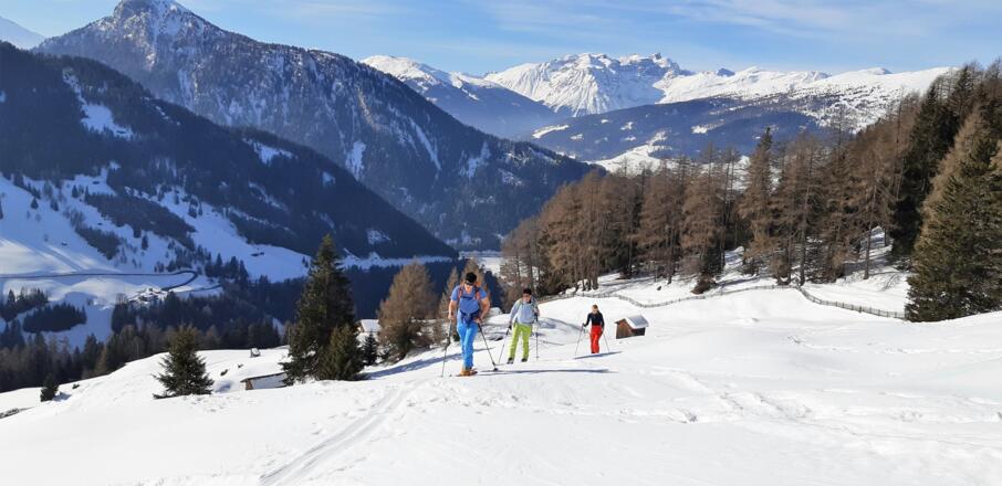 Über Wiesen bis zum Waldrand (hinten die Tribulaune).