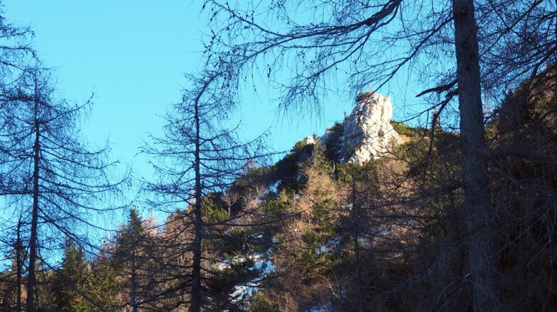 Rückblick zur Felskanzel ~1555m