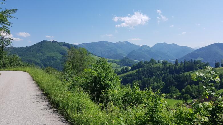 Blick zum Almkogel - Westseite