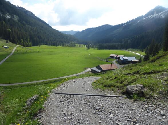 Alm Melköde mit Sumpfgebiet