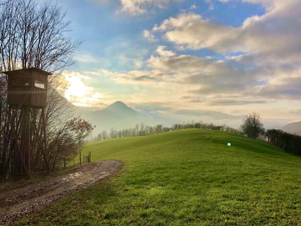 Am Kirchenberg in Losenstein