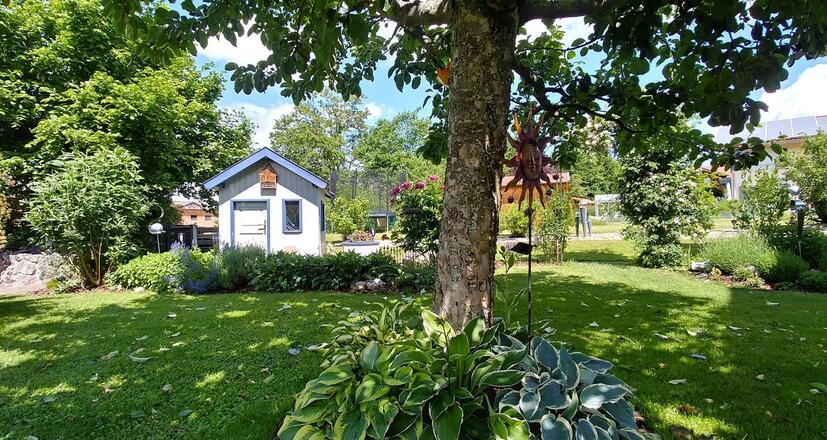 In unserem Garten...