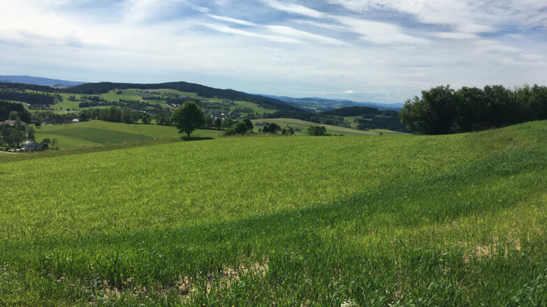 Landschaft-bei-Windhaag---Ober%c3%b6sterreich-Tourismus-GmbH---Ulrike-Preinfalk_NEU