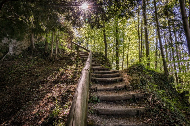 Weg zur Burgruine Karlstein