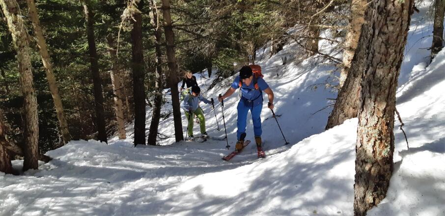 ... entlang des Sommerweges bis zur ...