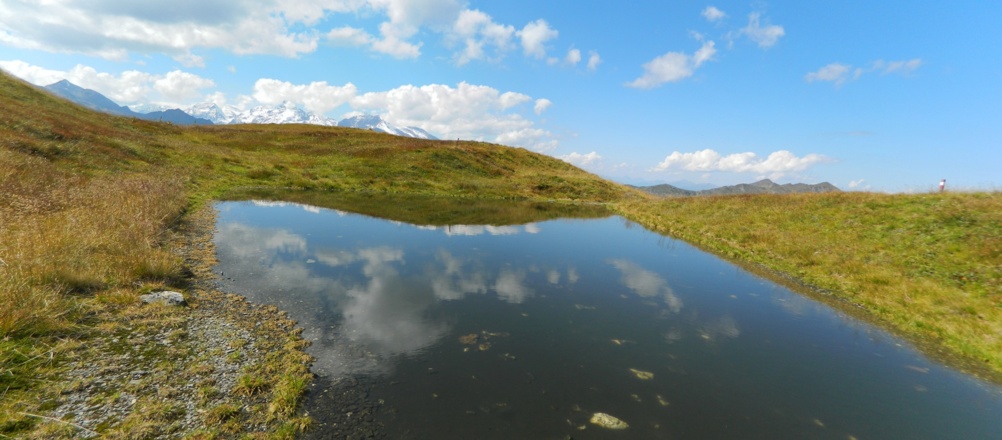 Lacke unterm Reißrachkopf