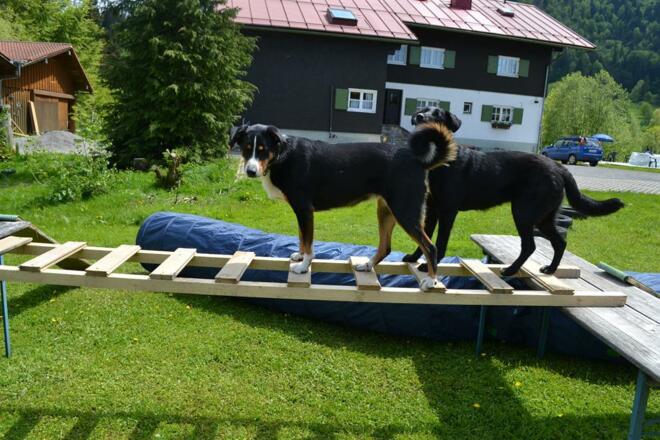 Paula und Mika haben Spass