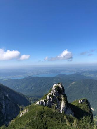 Bischofsmütze