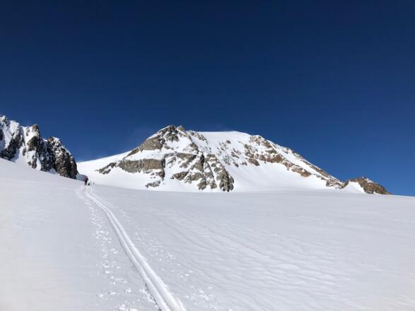 Auf dem Weg zum Hintereisjoch - die Weißkugel immer im Blick