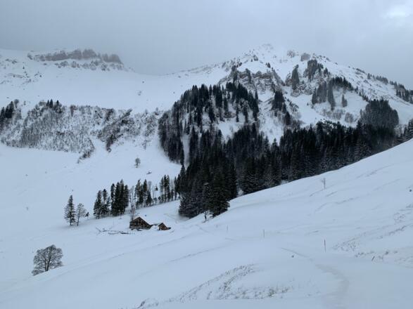 Ob. Falzalpe mit Winterstaude