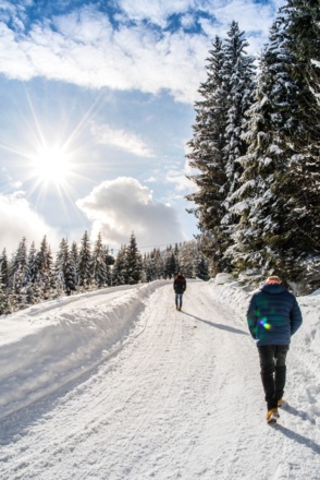 Winterwanderweg Grießenkar