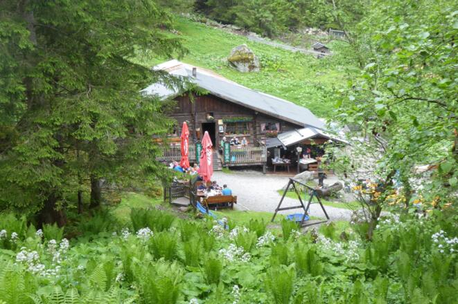 obere Astenalm; 1.210m