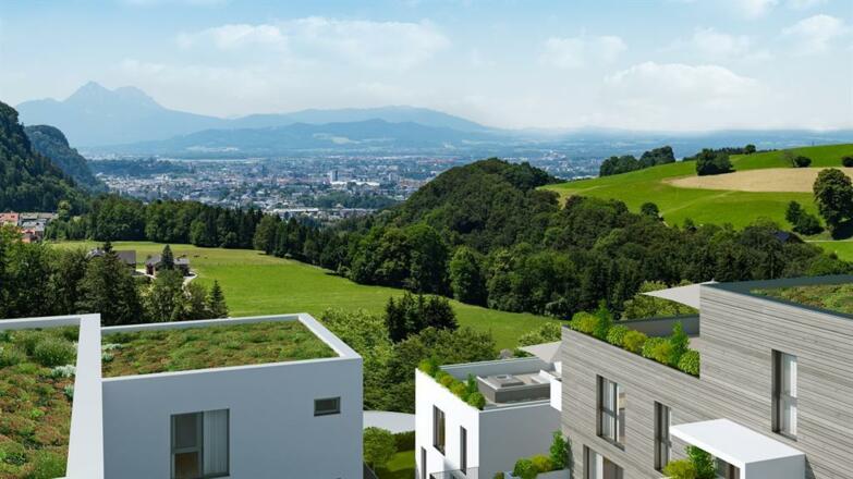 Blick über die Wohnanlage